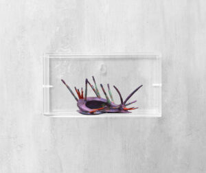 R pistillus 2025 ferro cartapesta acrilico resina plexiglass 23x17x13 cm copia 2